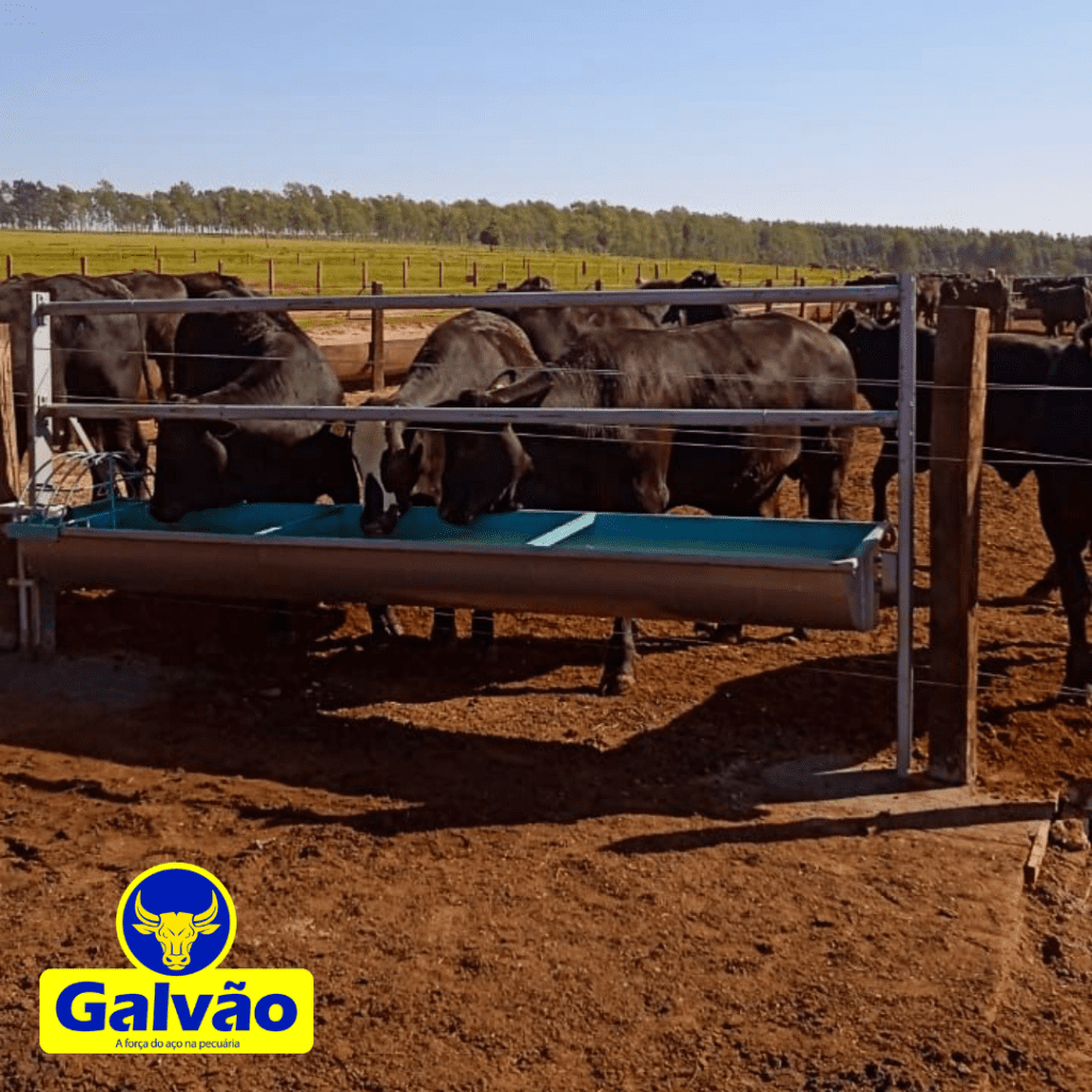 Bebedouro Trato Animal Metálico 1500L Australiano Redondo GALVÃO