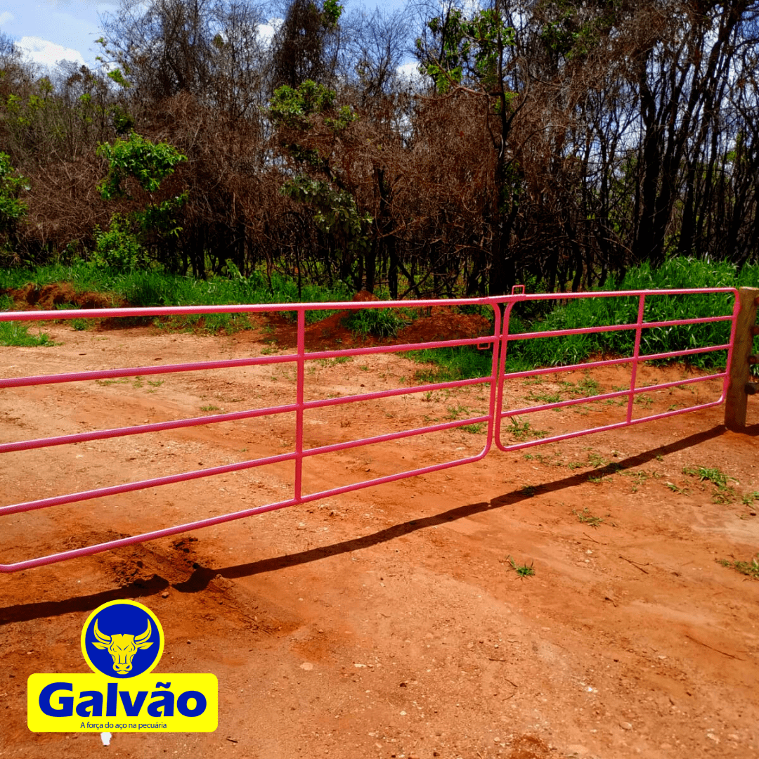 Porteira Tubular (LINHA OURO) 6