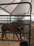 Baia para Cavalo