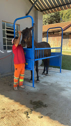 BRETE EQUINO