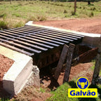 Mata-burro Galvão