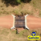 Mata-burro Galvão