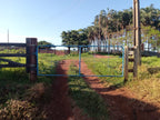 PORTEIRA LINHA PRATA PASTO
