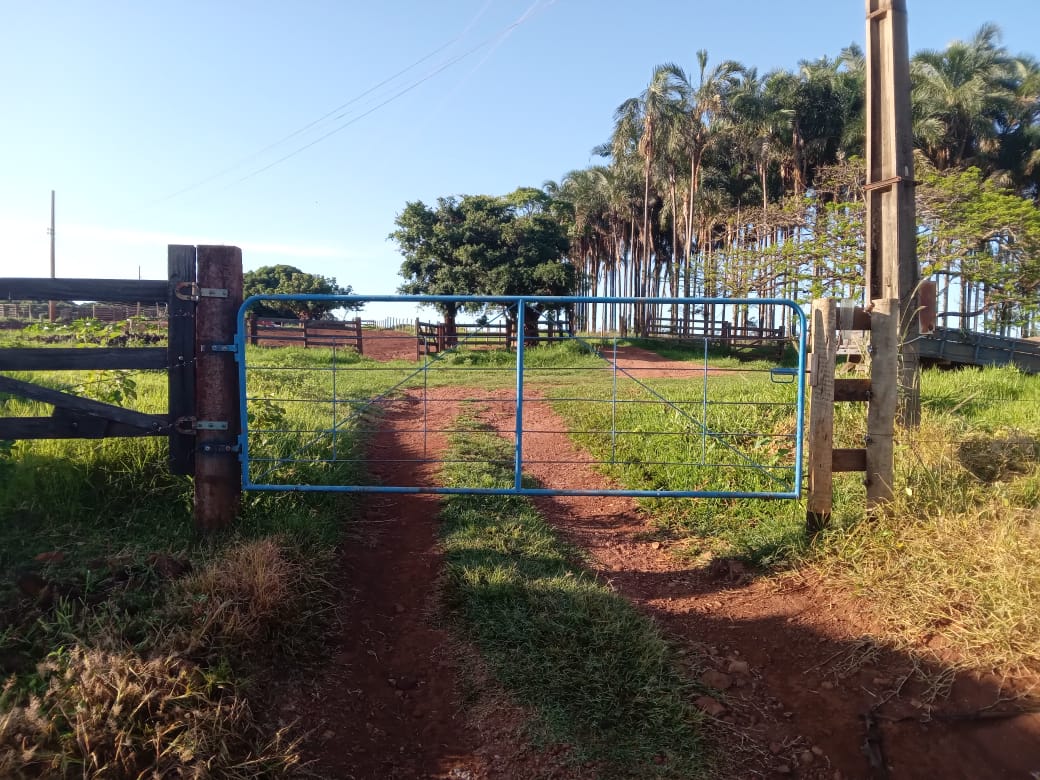 PORTEIRA LINHA PRATA PASTO