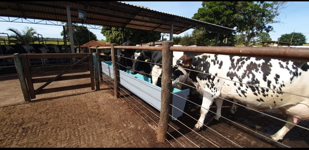 Bebedouro Compost Barn
