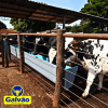 Bebedouro Trato Animal para Compost Barn | GALVÃO