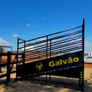 EMBARCADORES DE GADO