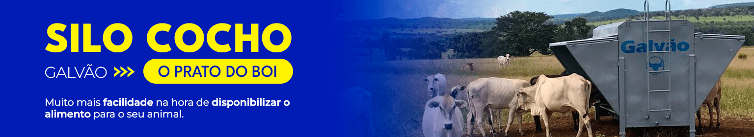 Silo cocho Galvão Conheça