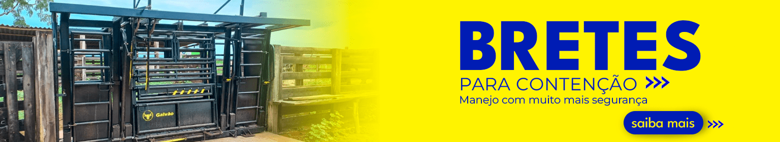 Brete bovino Galvão